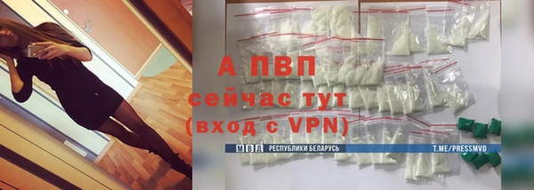 молекула духа Богородск