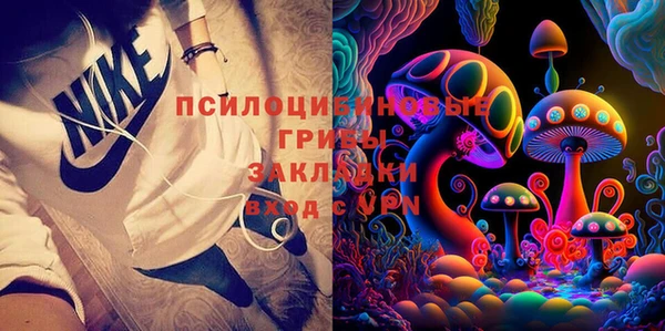 молекула духа Богородск