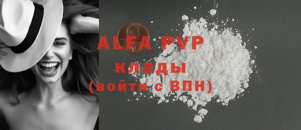 спиды Богданович