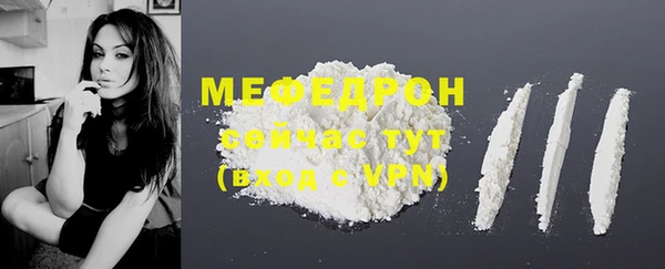 спиды Богданович