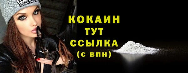спиды Богданович