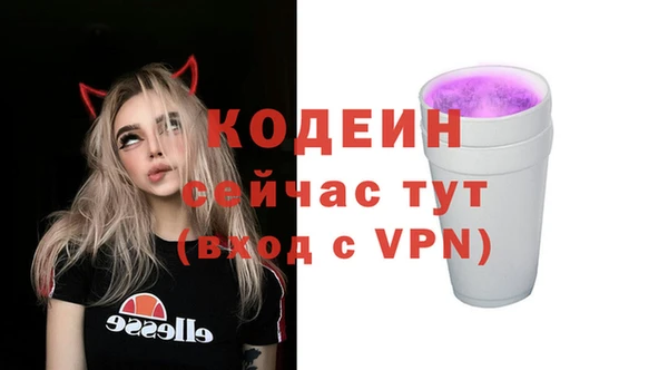 ECSTASY Богородицк