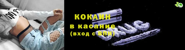 молекула духа Богородск