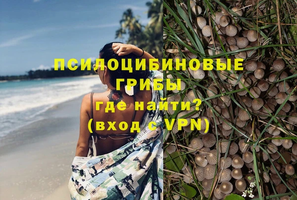 молекула духа Богородск