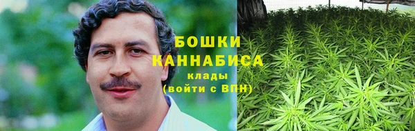 шишки Иннополис