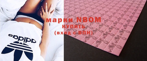 эйфоретик Инта